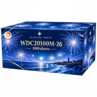 WDC20100M-26